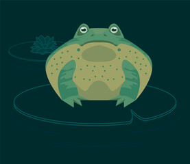 green bull frog amphibian