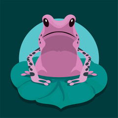 purple frog amphibian