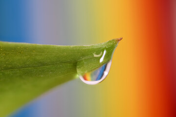 Extreme close up shot of water droplet on a leaf with colorful background