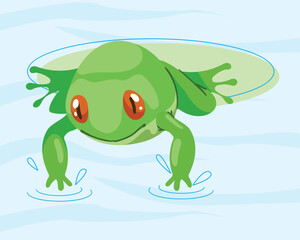frog amphibian in lake