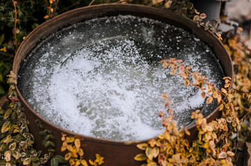 Frozen water, ice with snow in a rusty steel barrel in the garden close-up among plants. Photography, nature, winter.