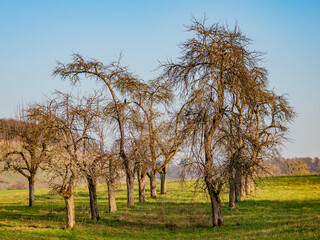 Obraz premium Baugrundstück im Winter
