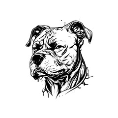 pitbull vector svg