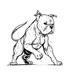 pitbull vector svg