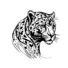 jaguar vector svg © mustafa