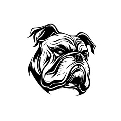 Bulldog head vector