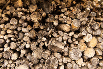 CONJUNTO DE TRONCOS PUESTOS EN UNA LEÑERA, LEÑA APILADOA