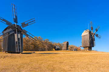 Autumn landscape with windmills on a yellow field under a blue sky, Pyrohiv, Kyiv, Ukraine