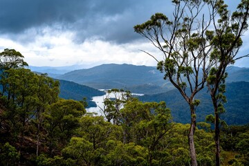 Fototapeta na wymiar view of lake rosebery in tasmania,