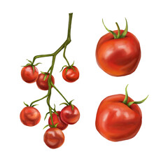 Set of red tomatoes and cherry on a twig