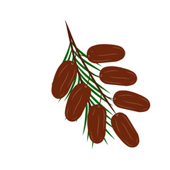 Dates Illustration vector 