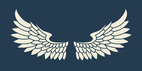 Vector white angel wings design