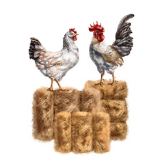 A composition of a white chicken and a gray rooster among a pile of golden haystacks. For postcards, textiles, booklets, banners, stickers. Digital illustration