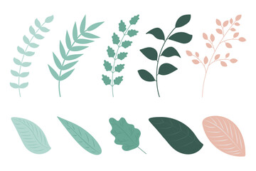Set of twigs and leaves for design in mint and pink pastel colors. Elements are isolated and editable