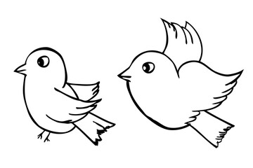 vector simple, set 2 bird hand draw sketch