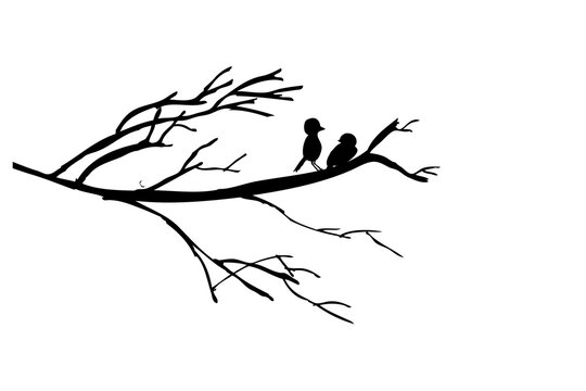 hand draw sketch, silhouette 2 birds at branch