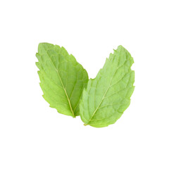 Peppermint  transparent png