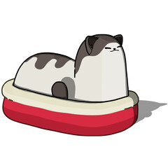 cat sitting in a Cat bed