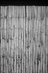Black and White Bamboo Curtain Background.