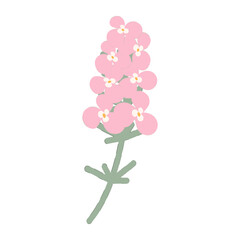 Abstract image of a phlox flower in trendy soft pink colors. Sticker. Icon. Isolate. Hello spring