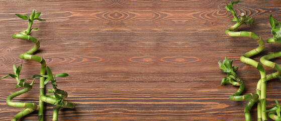 Bamboo branches on wooden background with space for text