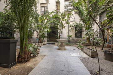 Fototapeta premium Granite pavement corridor between plants and palm trees and a fountain in the interior block patio of an urban dwelling