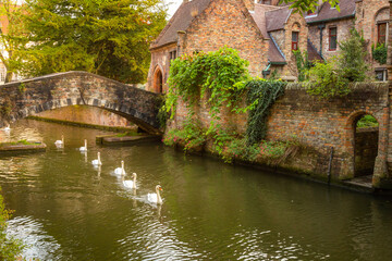 Fototapeta na wymiar Architecture of idyllic Bruges with canal and swans floating in a row, Flanders, Belgium