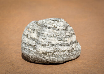 Gneiss metamorphic stone macro shot, igneous rock, (diameter is 6 cm)