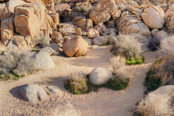 Joshua Tree National Park 