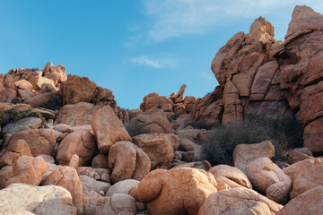 Joshua Tree National Park 