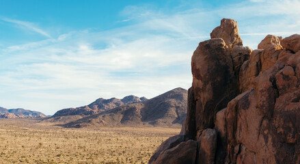 Joshua Tree National Park 