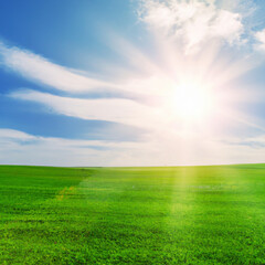 Fototapeta na wymiar Panoramic landscape of a green field with grass against a blue sky and bright sun.