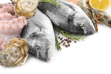 Fresh dorado fish, octopus, shrimps and oysters on white background, closeup