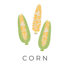 Logo Illustration of Sweet Corn on the Cob and Peeled Sweet Corn