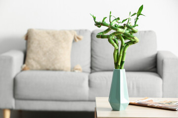 Vase with bamboo plant on table in living room
