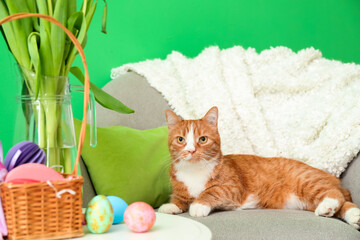 Fototapeta na wymiar Cute cat on armchair and table with Easter eggs near green wall