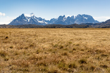 Golden Pampas and snowy mountains of Torres del Paine National Park in Chile, Patagonia, South...