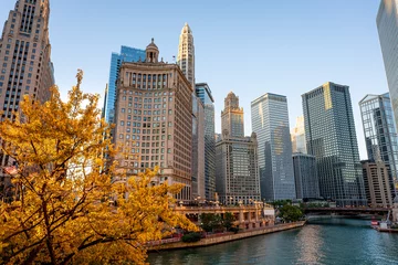 Fotobehang View of Chicago, Illinois and Chicago River at dawn during the autumn  © Anthony