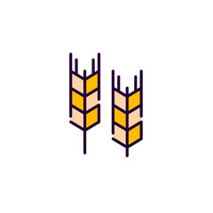 Illustration of grain ear. Autumn harvest. Healthy eating