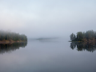 landscape with mist over forest lake