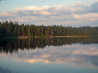 reflections on a forest lake in summer