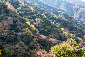 Fototapeta na wymiar 阿蘇　箱石峠展望所から見る秋の風景 