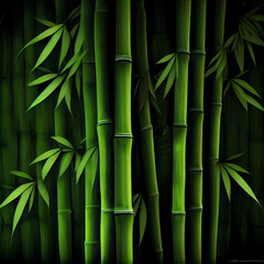 Green bamboo fence texture background, bamboo texture