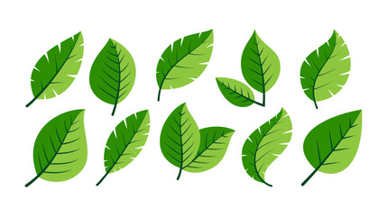 Green Leaves icon