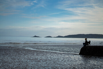 person on the beach with pet
