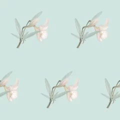 Gordijnen Floral seamless pattern, white Amaryllis flowers and leaves on blue © momosama