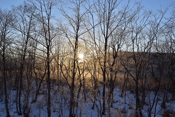 Fototapeta na wymiar Circling Hokkaido in the bitterly cold winter