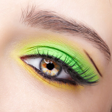 Closeup macro shot of human female eye with green and yellow eyes shadows.