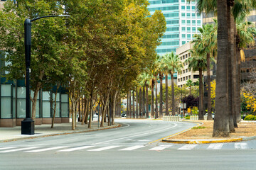 Cross walk in silicon valley san jose with pam trees and background buildings in late afternoon shade and sun in city