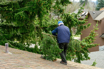 Senior man throwing a large fir tree branch and storm other debris off a residential rooftop
